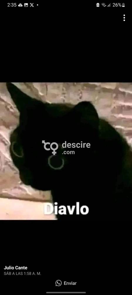 busco amistad, amigos con derecho o lo que surja - Cochabamba - Bolivia