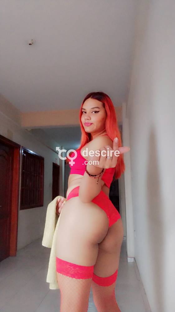 ✨✨ TRANS ✨✨ preciosa.... - Santa Cruz - Bolivia