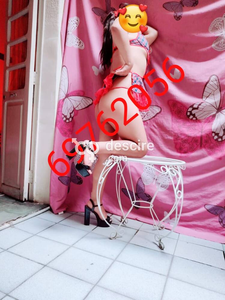 Perrita caliente en la camita amor - Cochabamba - Bolivia