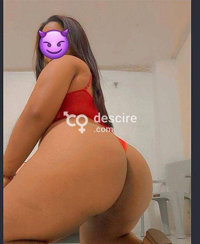 NALGONA PIEL CANELA - Santa Cruz - Bolivia