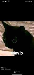 busco amistad, amigos con derecho o lo que surja - Cochabamba - Bolivia