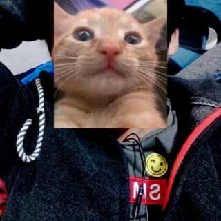 Hola busco una amiga o una enfermera para algo casual - La Paz - Bolivia